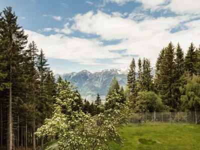 Waldblick von den Balkonen