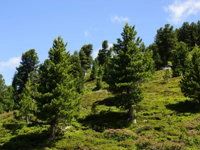 Wandermöglichkeiten am Glungezer